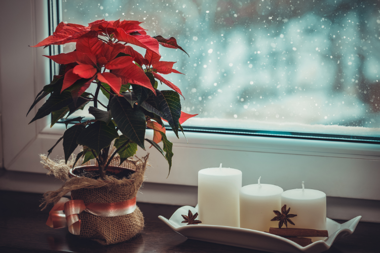 Holiday Flowers - Columbus, OH - Cutler Real Estate