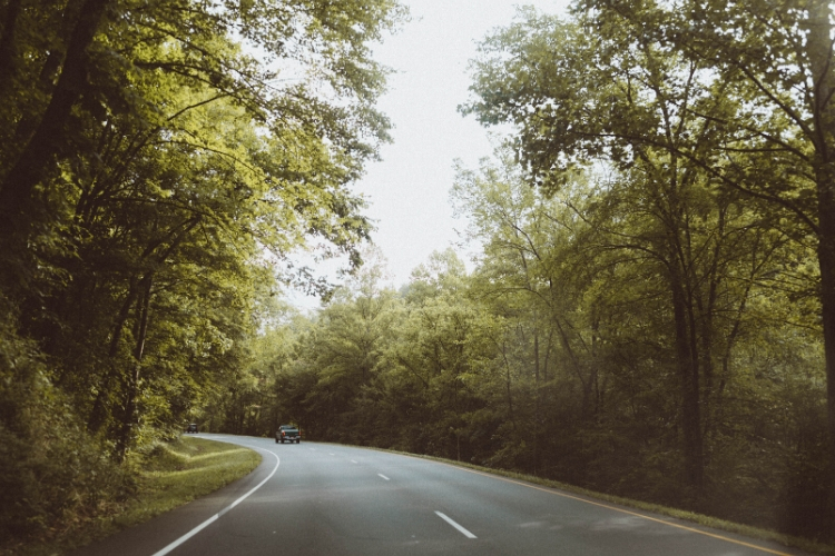 Cincinnati Sunday Drives - Cutler Real Estate