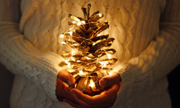 Holiday Light Displays - Columbus, OH - Cutler Real Estate